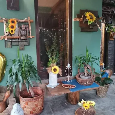 Etno Kuca Teodora Frühstückspension *